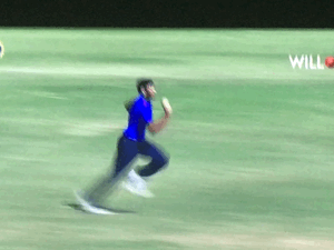 Lively.gif