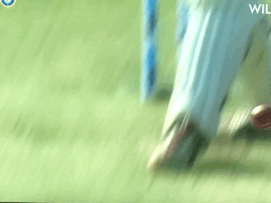 Lively.gif