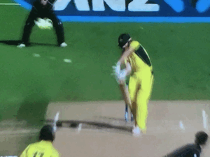 Lively.gif