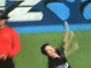 Lively.gif