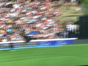 Lively.gif