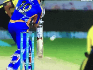 Lively.gif