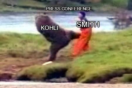 bear_ICF.jpg