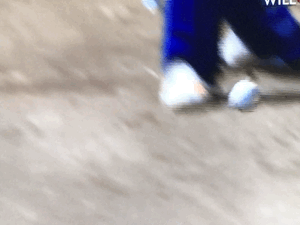 Lively.gif