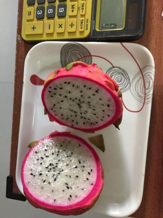 WhatsApp Image 2018-07-18 at 3.53.06 PM.jpeg