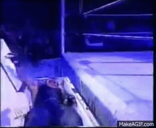 BC6C608E-24C2-45F7-ADAF-1191751C9FB1.gif