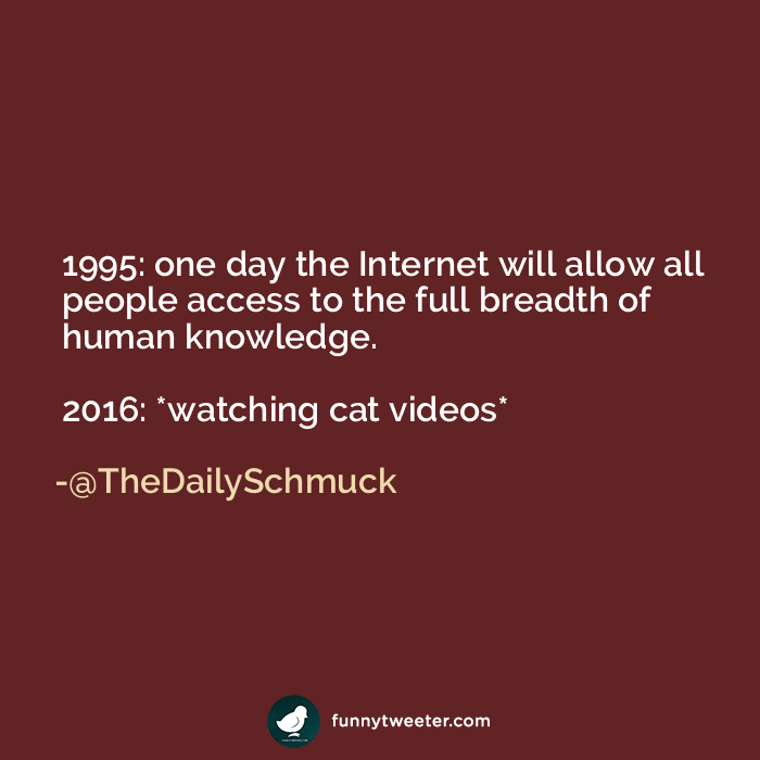 image.png.66982a58b1eef8fd7c2b7486cfc9d332.png