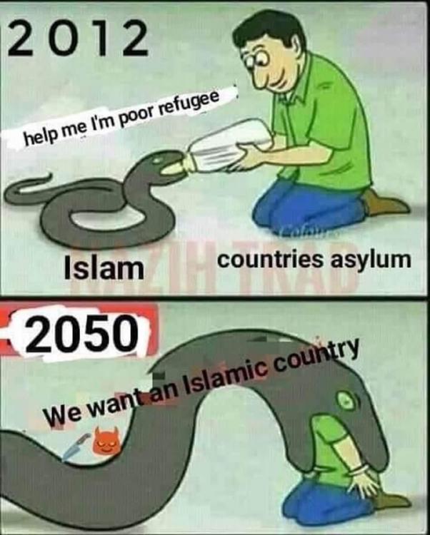 56389414_273349063551654_6113734874676330496_n.jpg