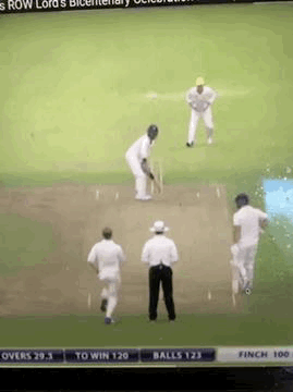 image.gif
