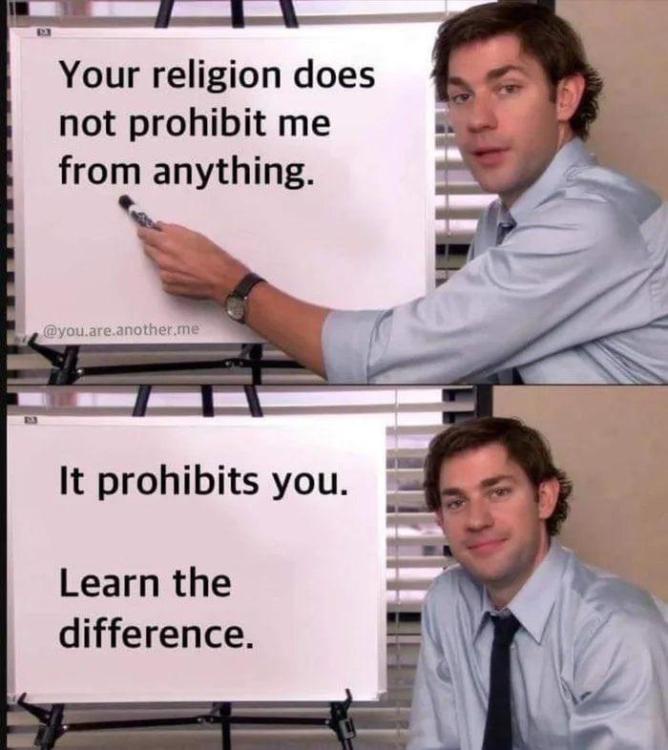 B01.jpeg